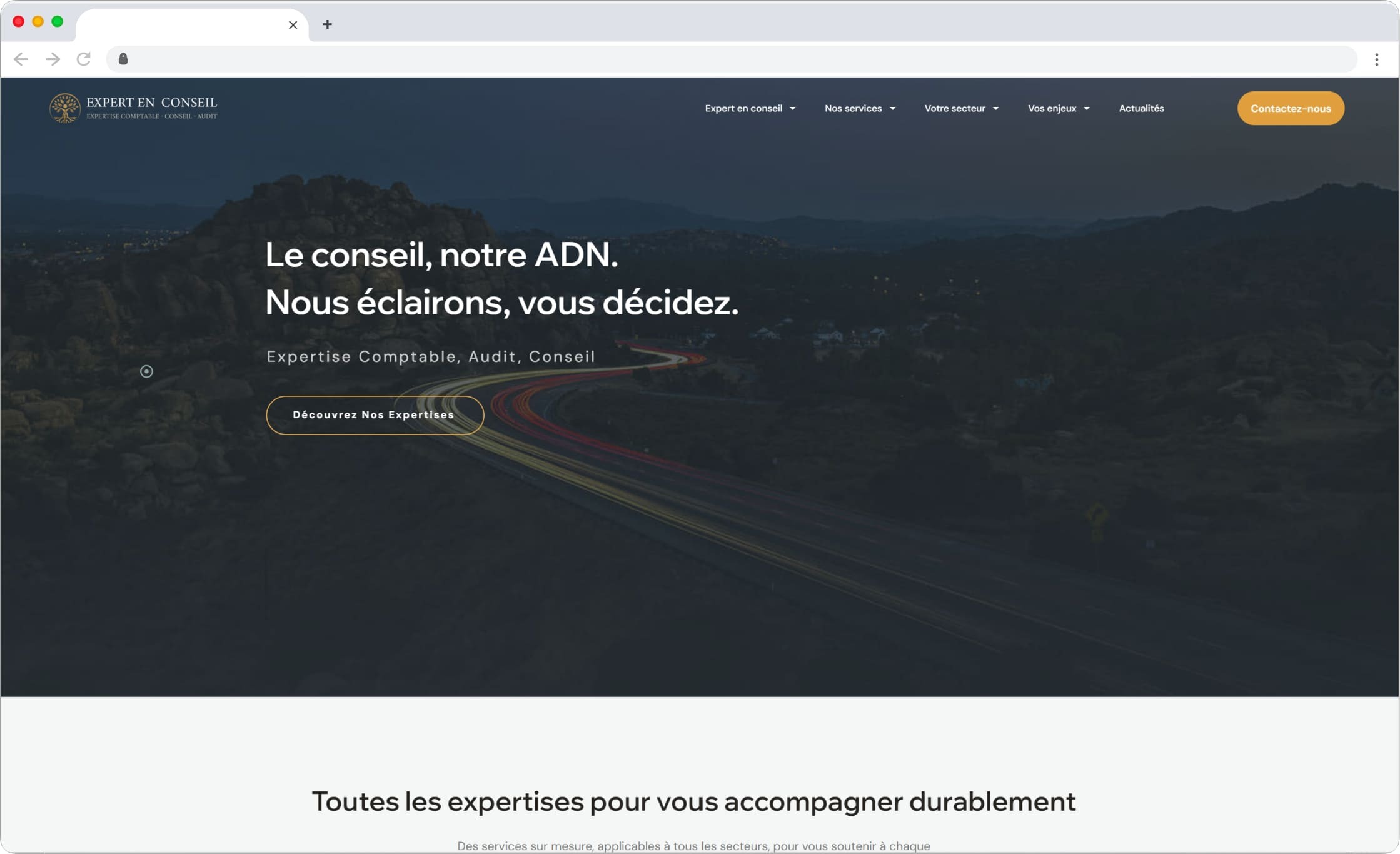 Expert En Conseil