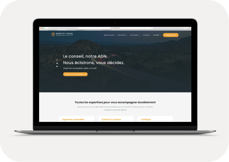 Expert En Conseil